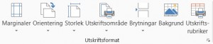 utskriftsformat