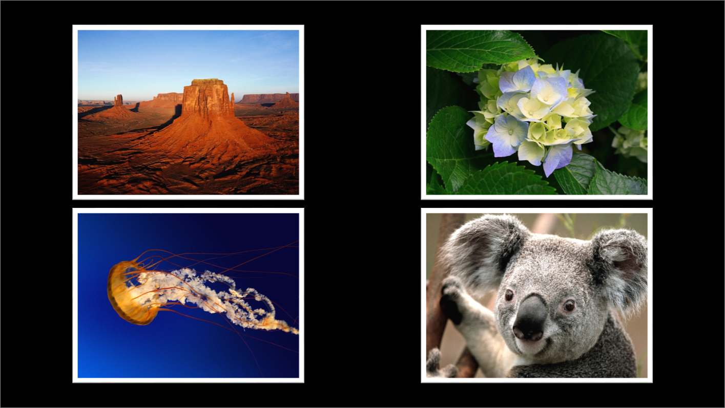 fotoalbum powerpoint