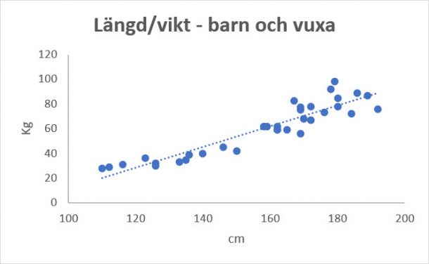 Index Of Wp Content Uploads 2019 05