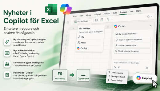 Copilot Excel